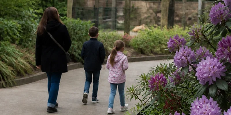 Families walking through Oregon Zoo grounds with spring blooms in Washington Park Portland Oregon