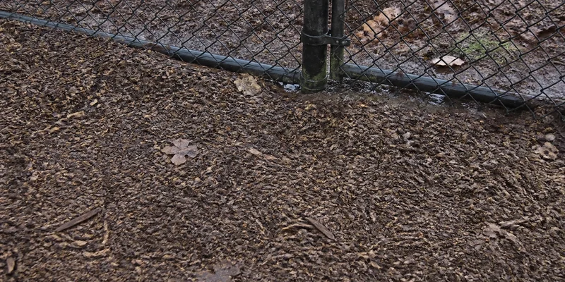 Wood-chip winter surface, Washington County, Oregon