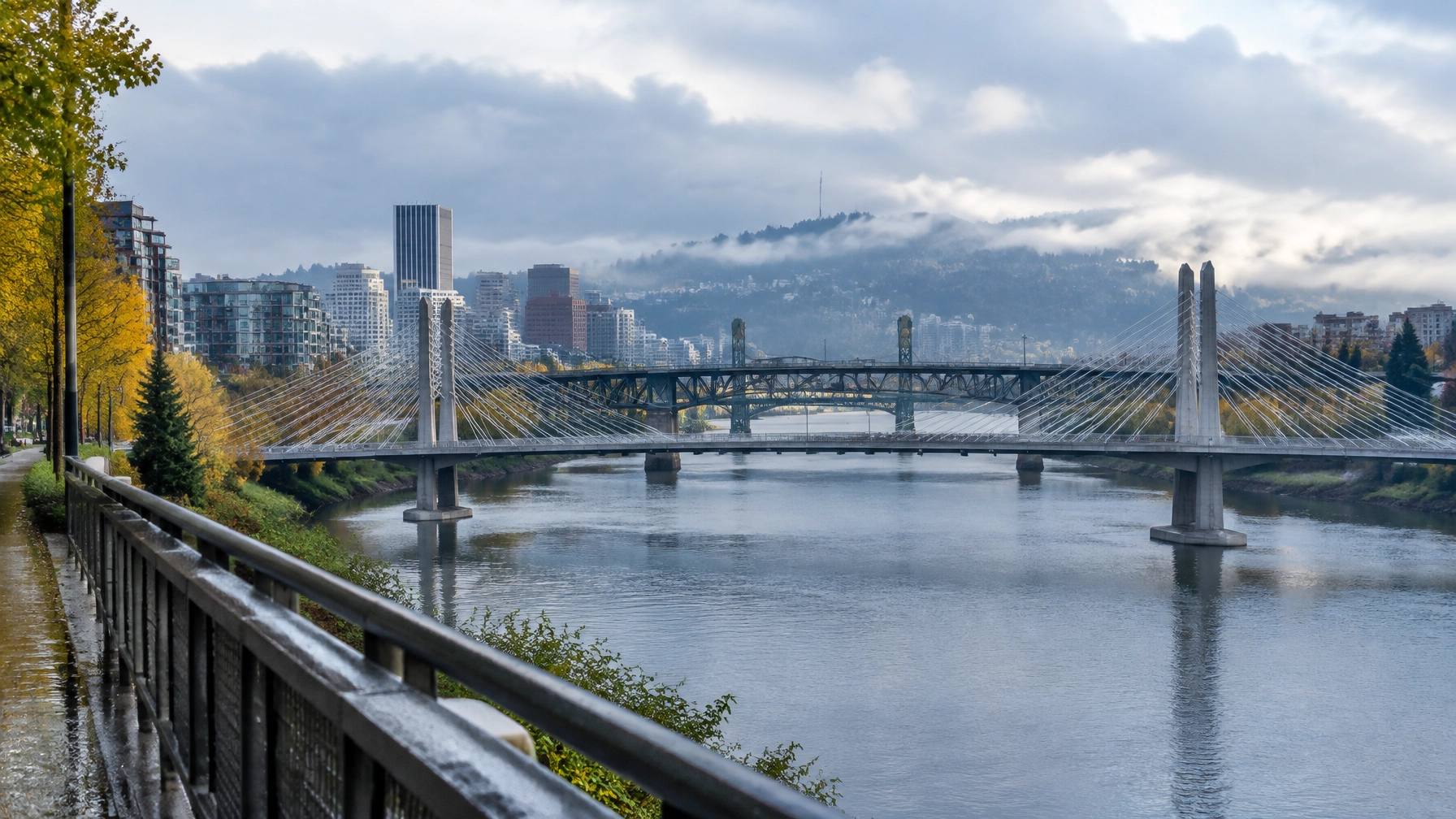 Tilikum Crossing over the Willamette River on an early October morning, Portland, Oregon